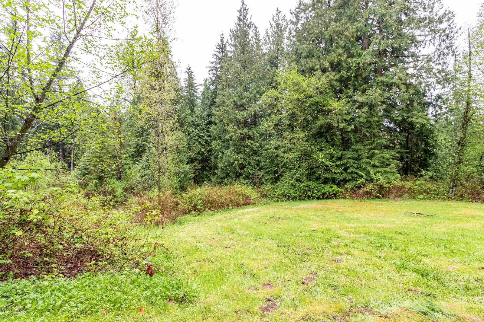 Listing Image 28