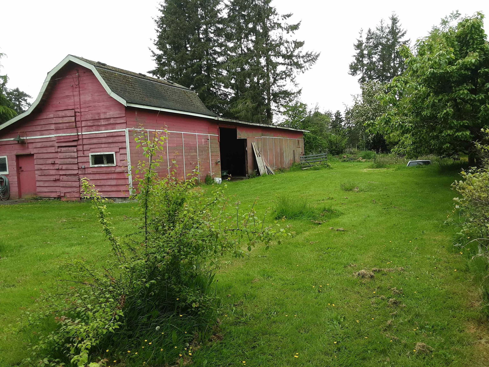 Listing Image 31