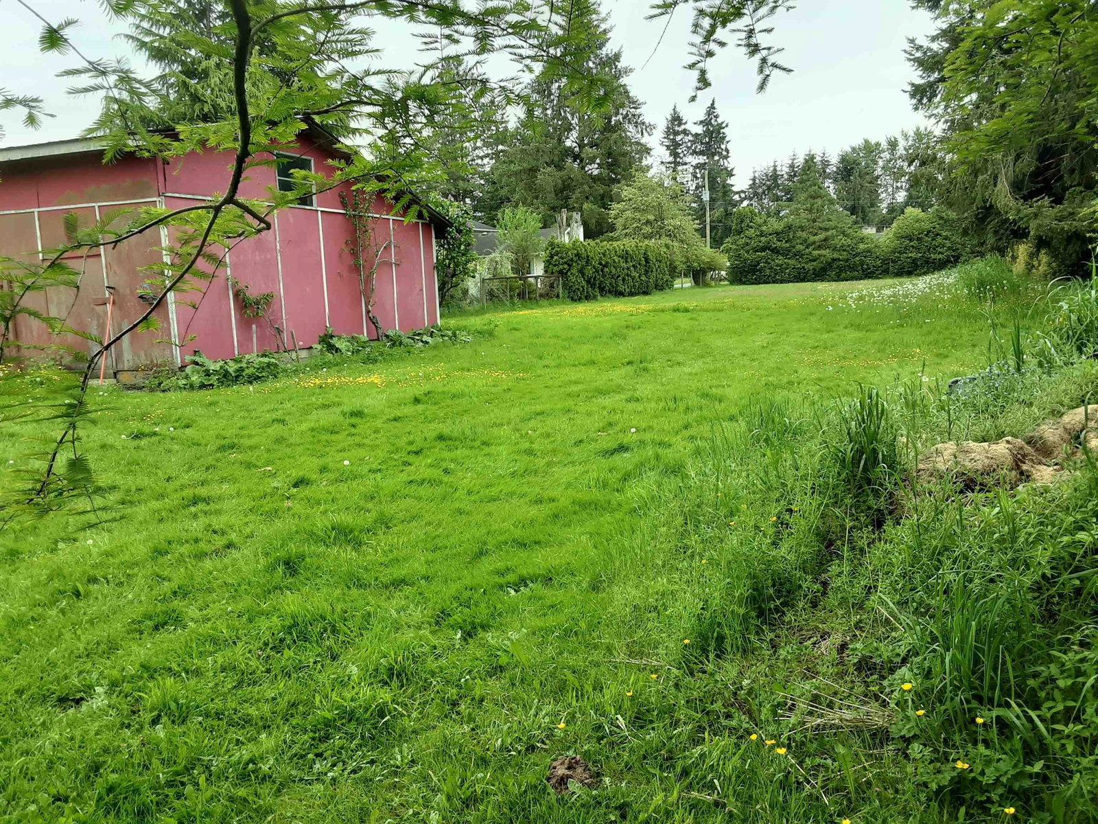 Listing Image 33