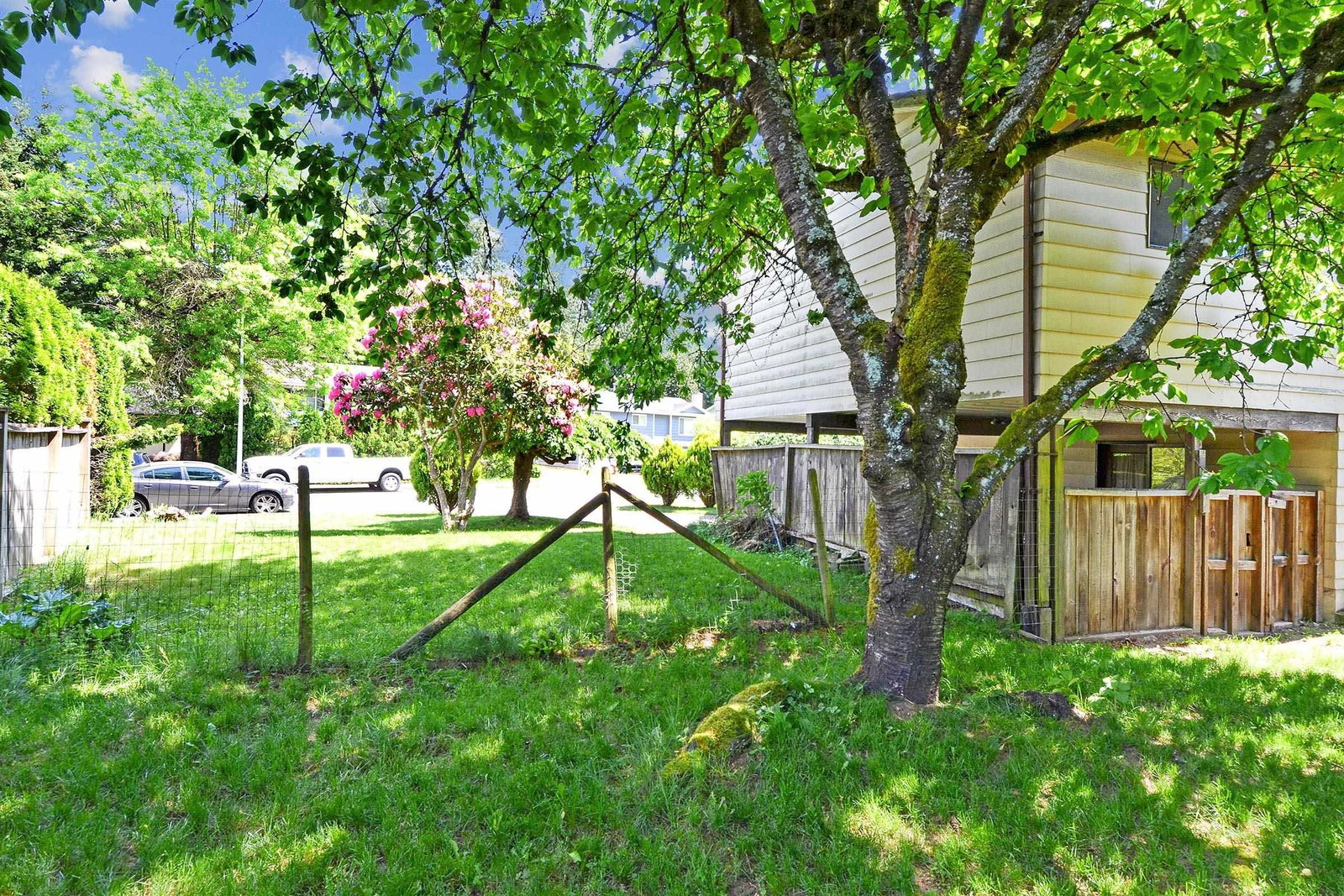 Listing Image 20