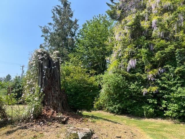 Listing Image 40