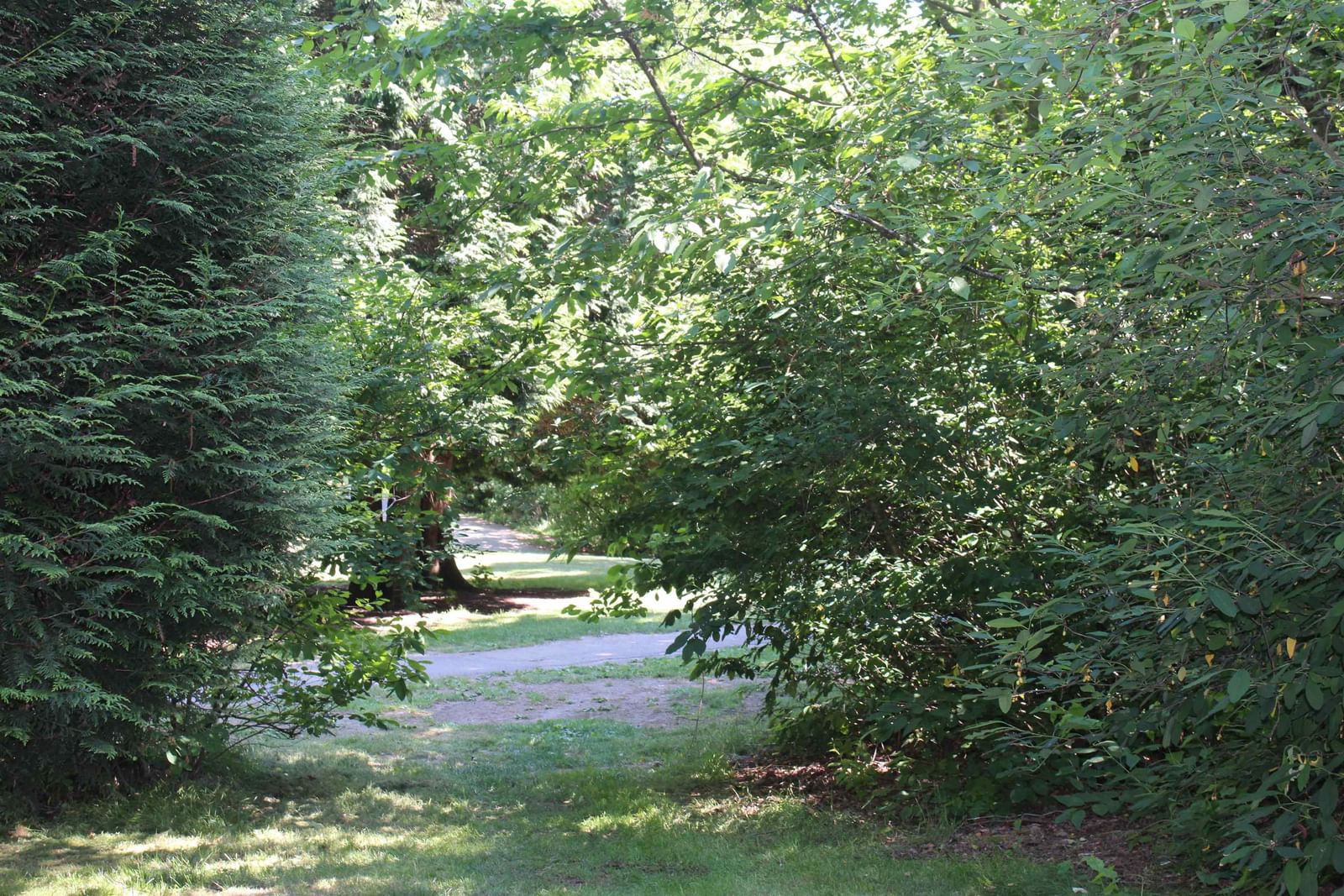 Listing Image 27