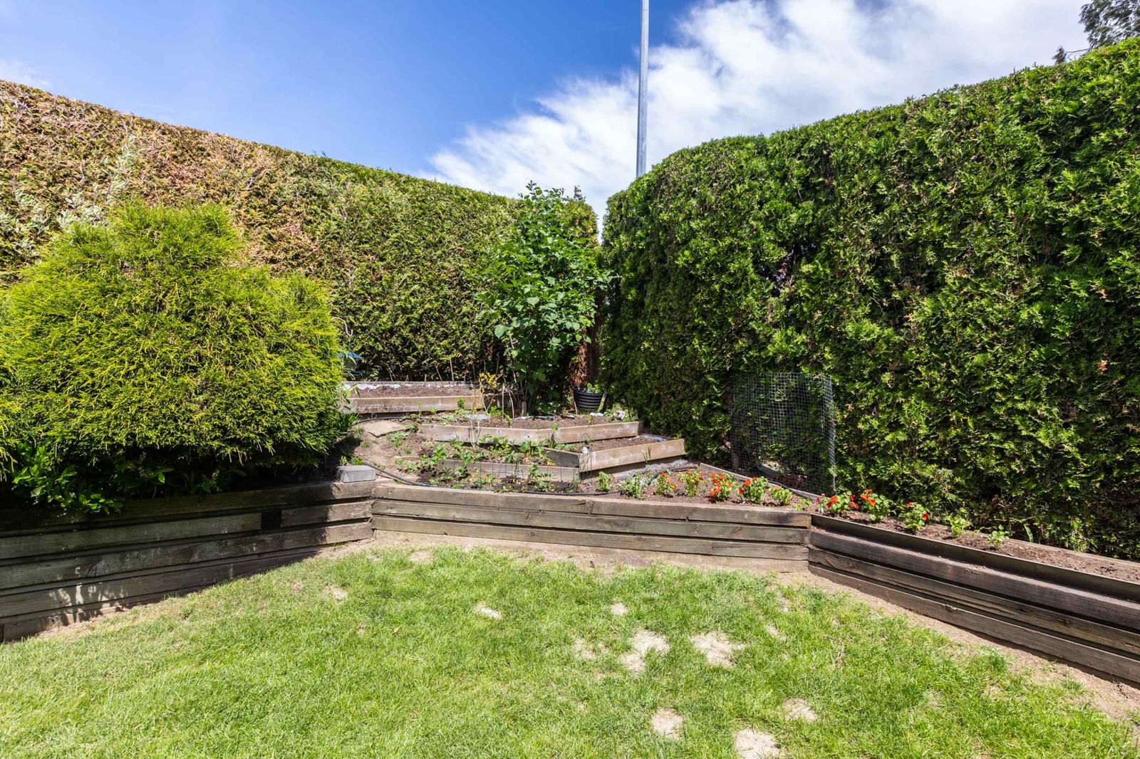 Listing Image 31