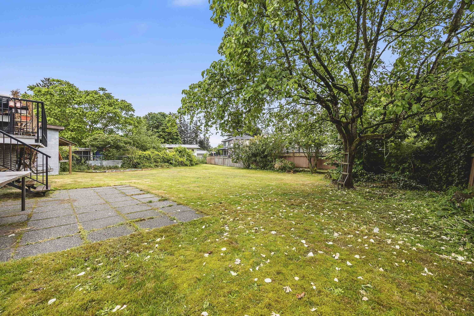 Listing Image 31