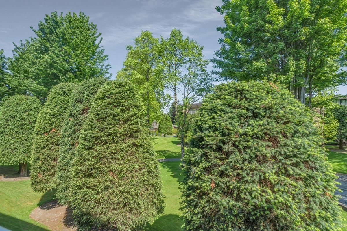 Listing Image 30
