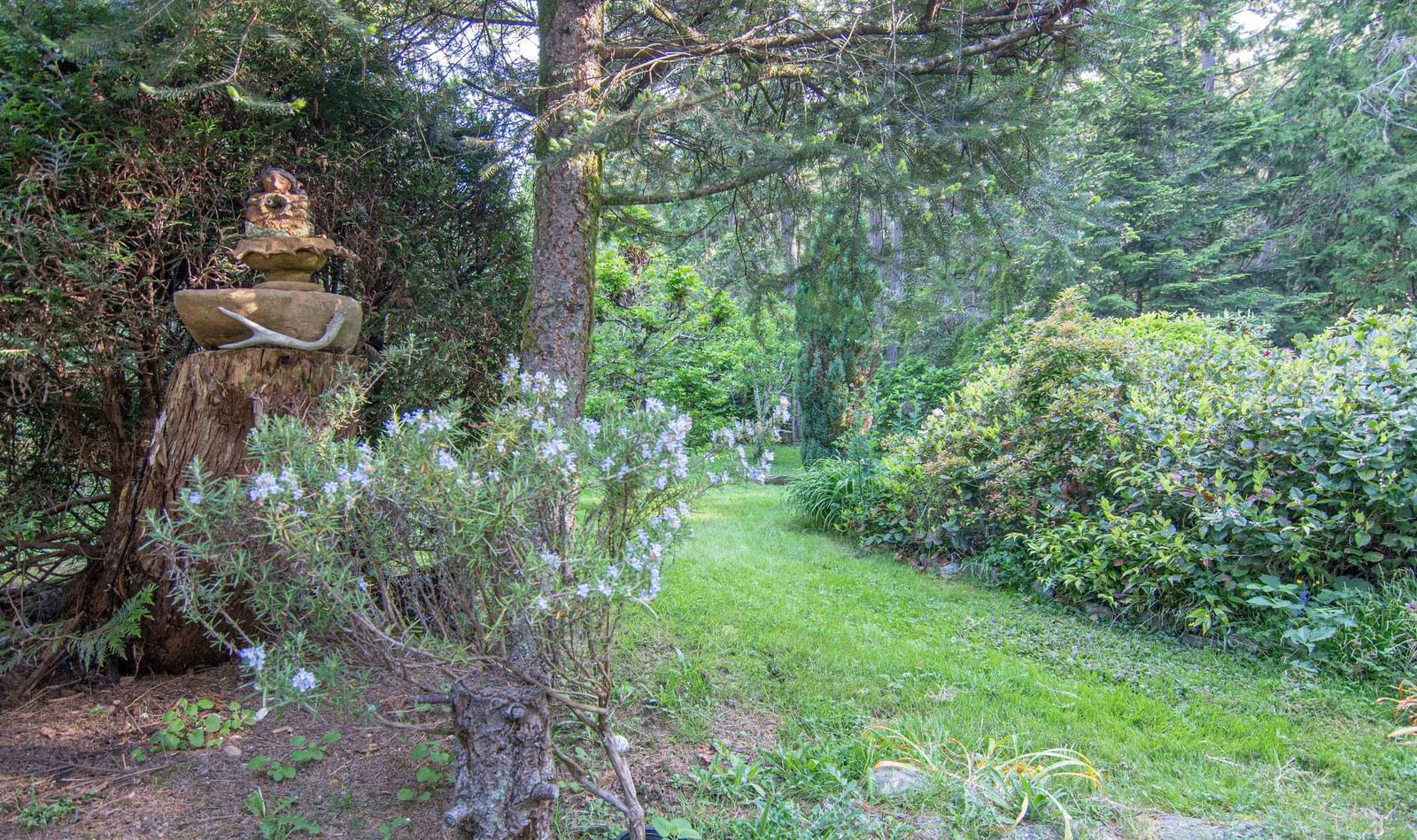 Listing Image 30