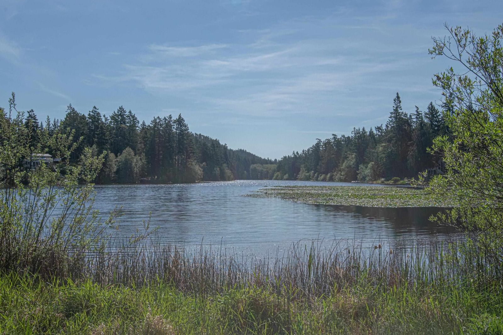 Listing Image 38