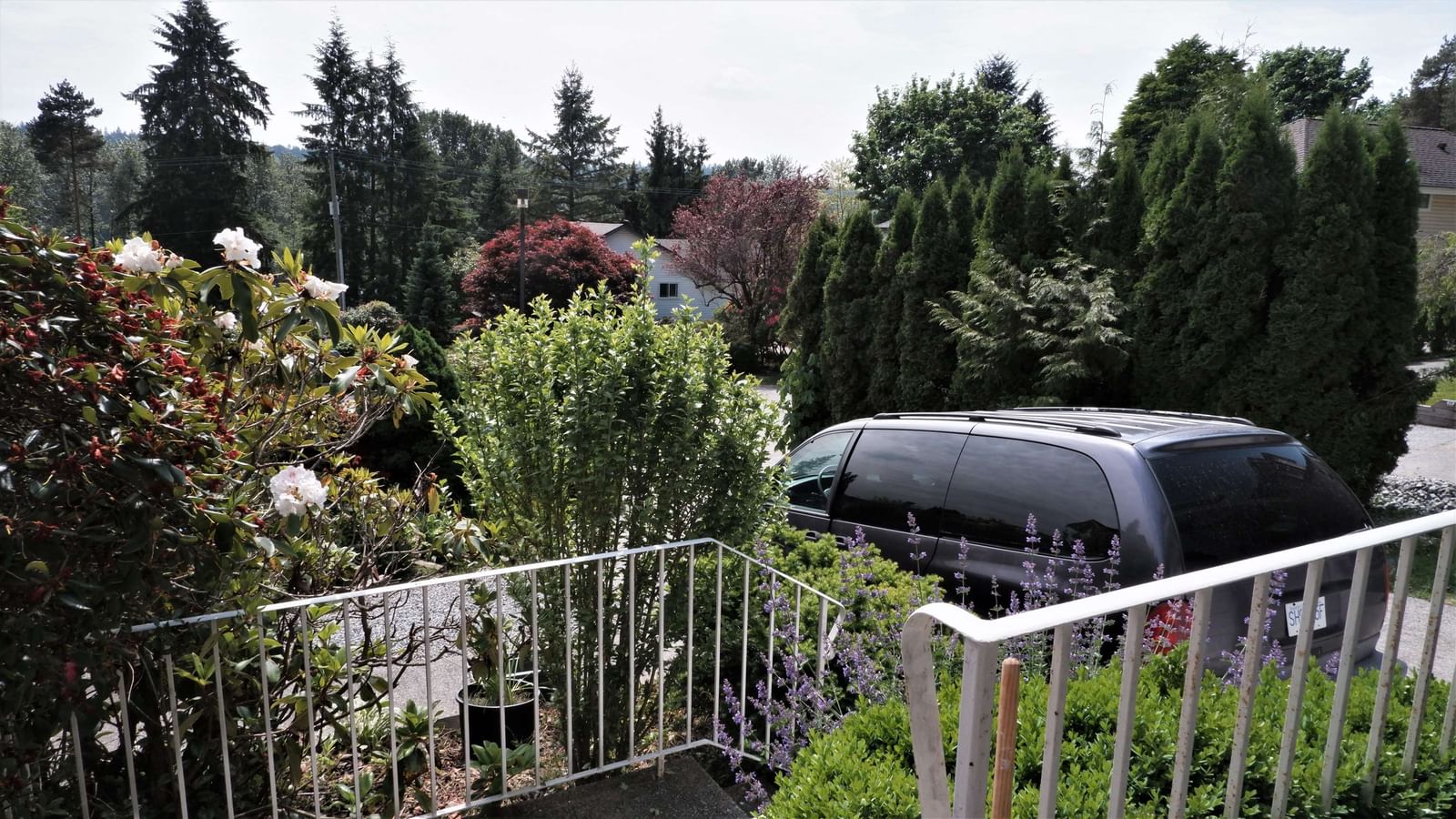 Listing Image 30