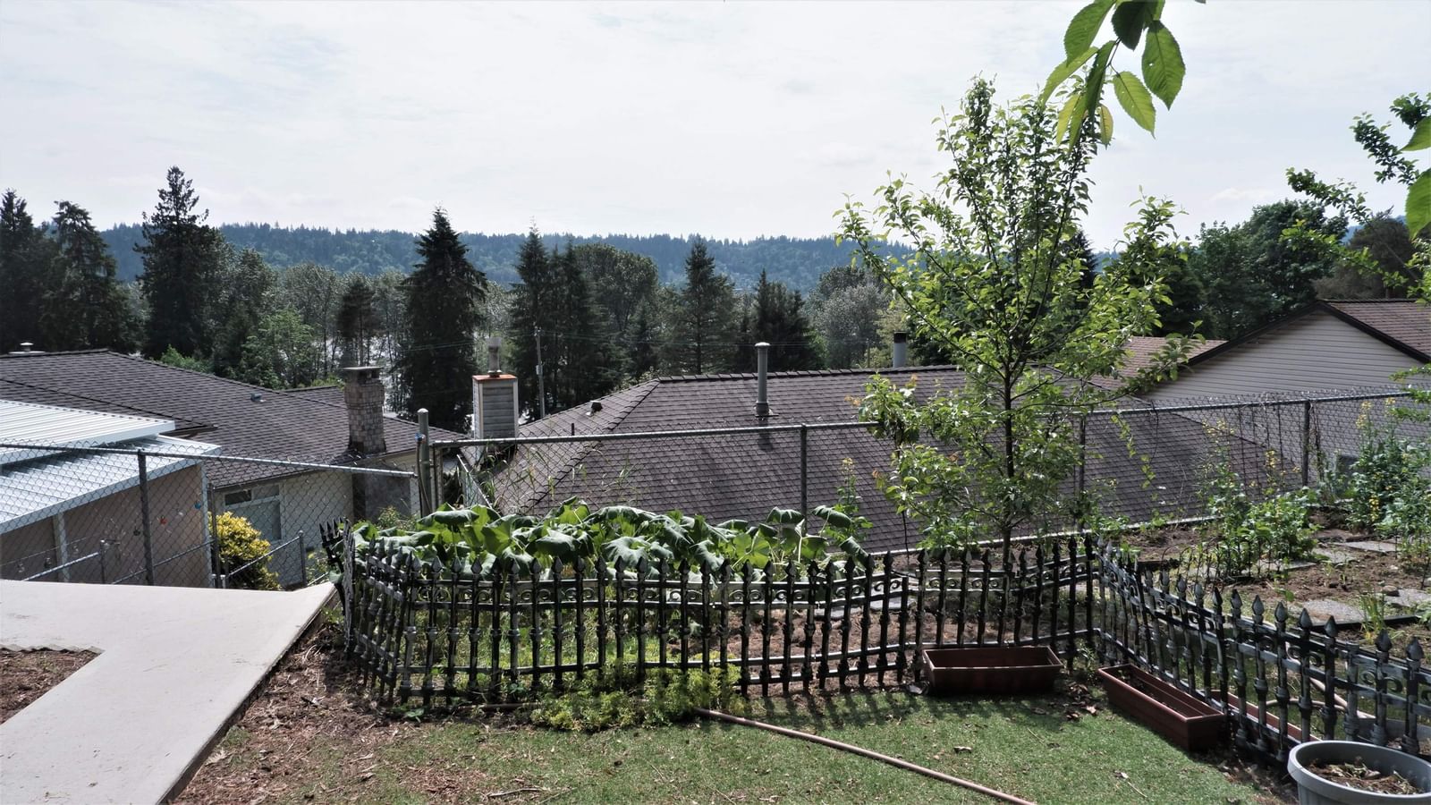 Listing Image 33