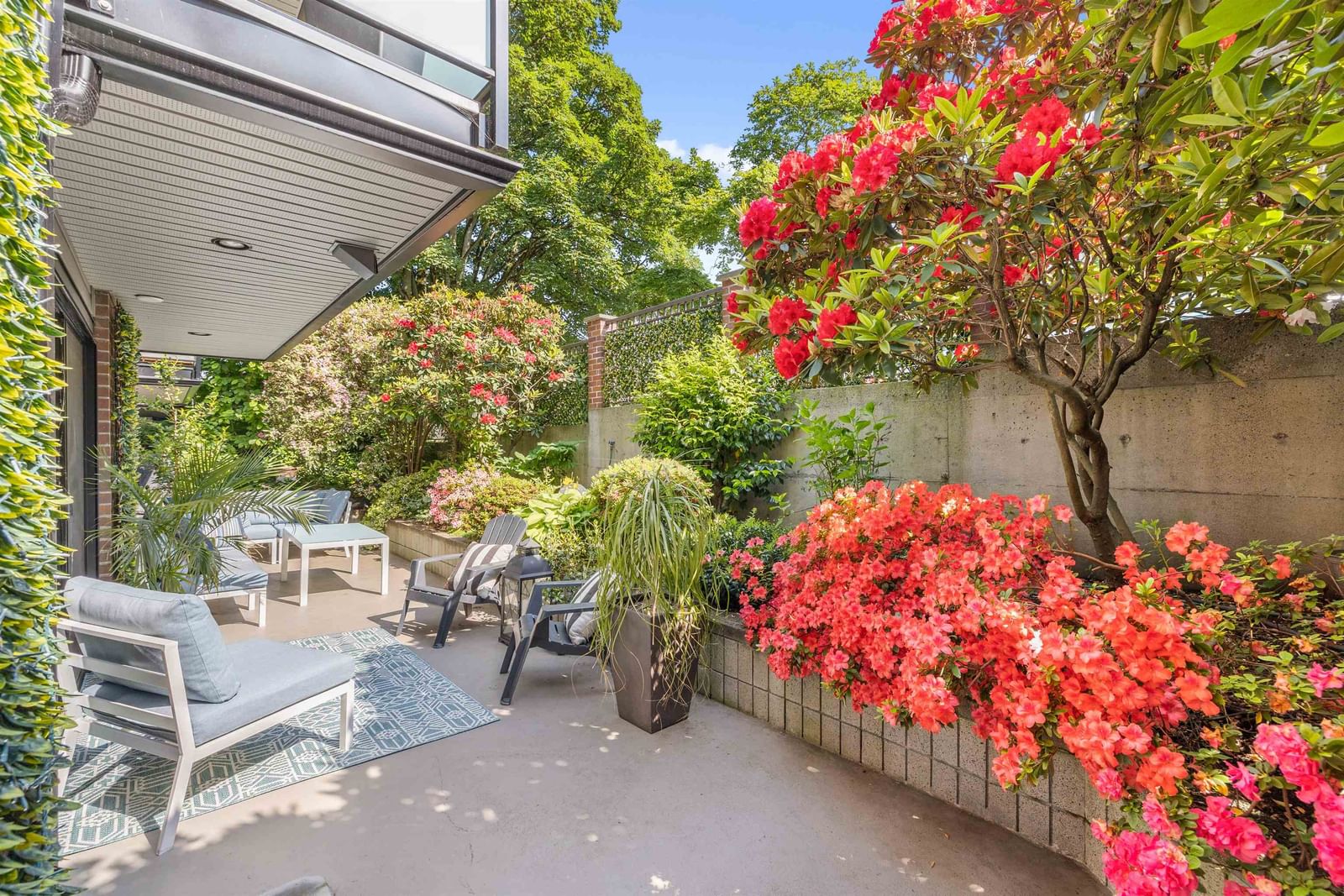 Listing Image 10