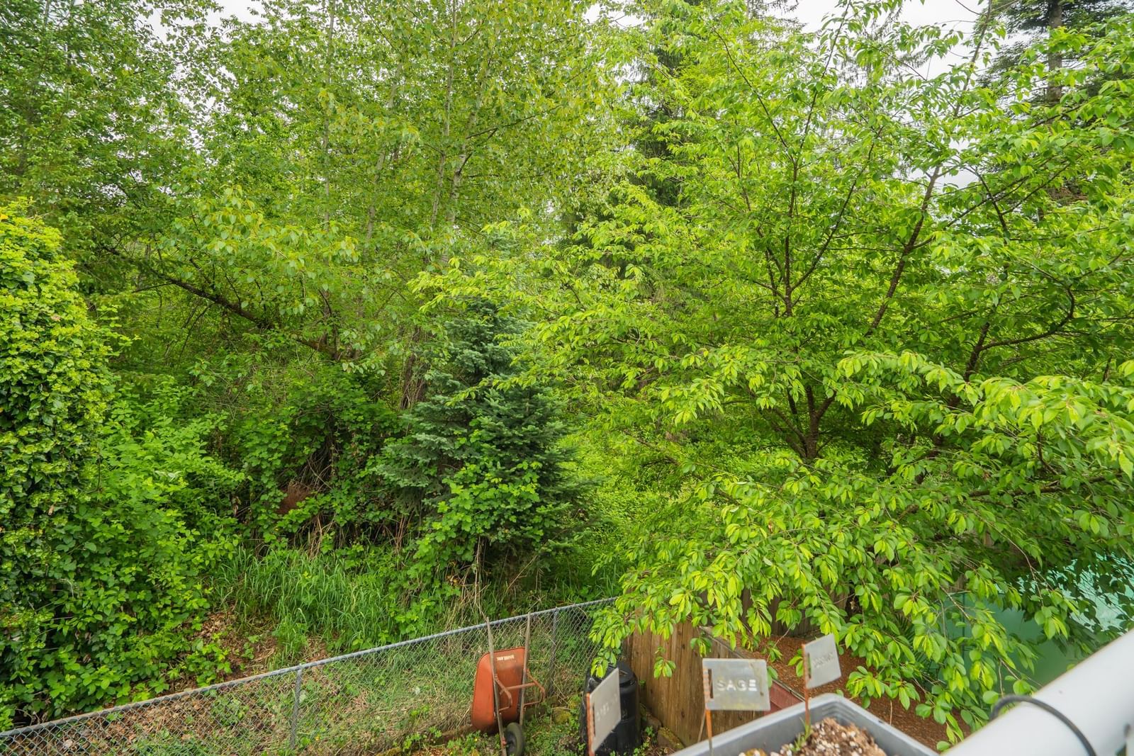 Listing Image 33