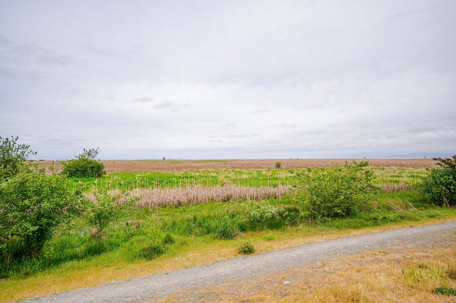 Listing Image 36