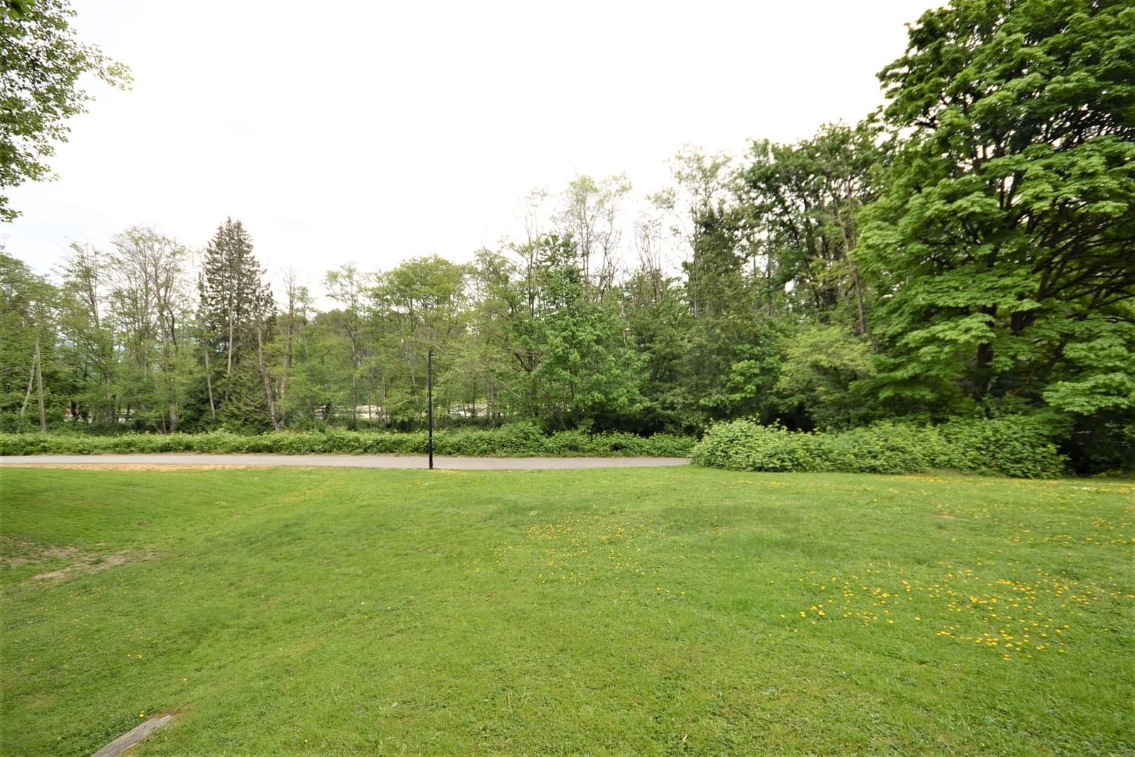 Listing Image 38