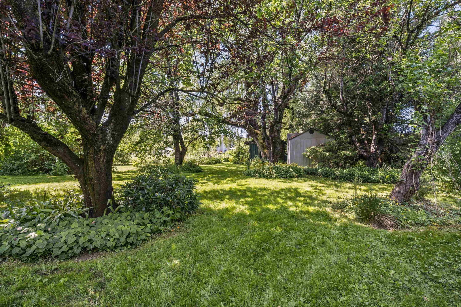 Listing Image 27
