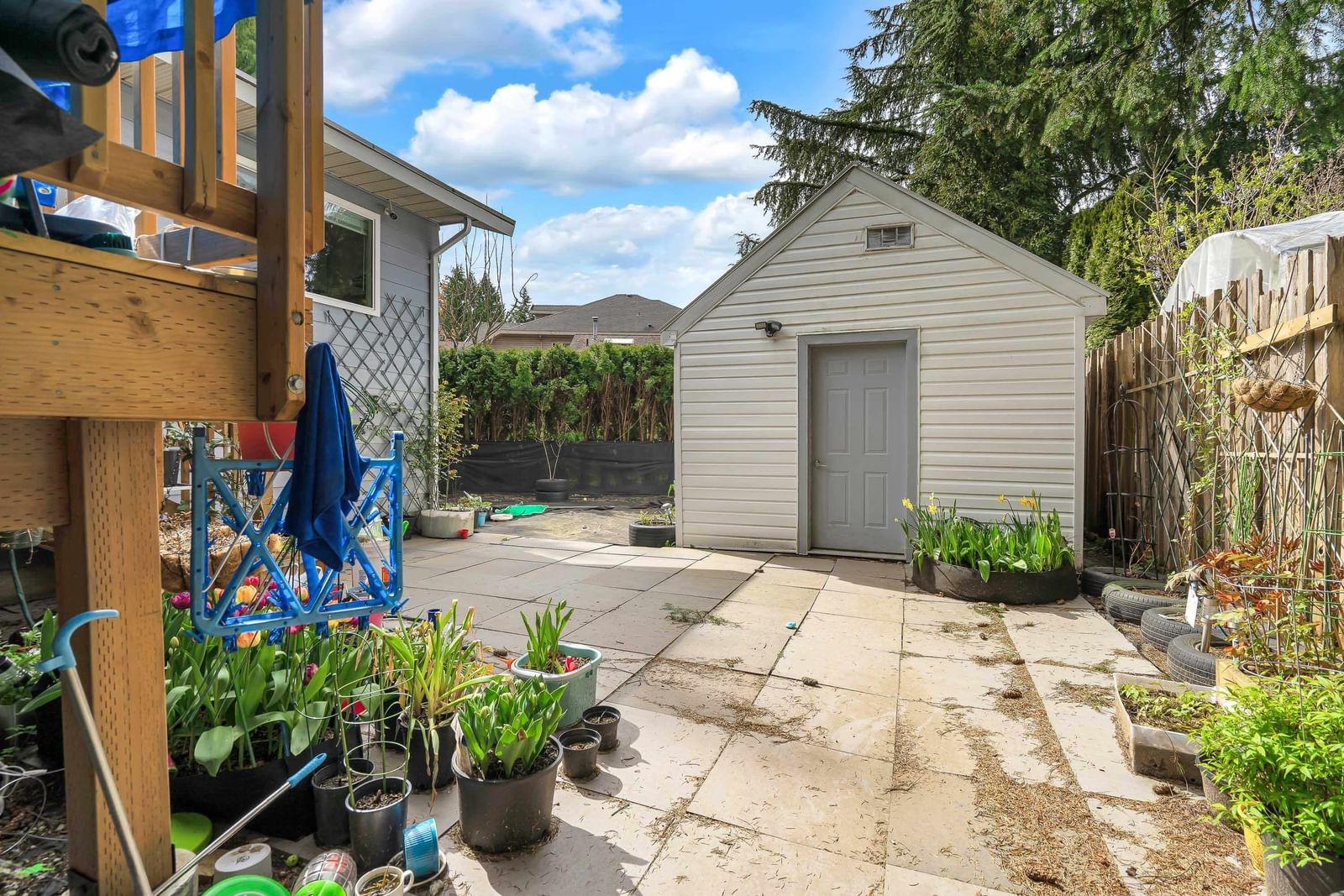 Listing Image 22