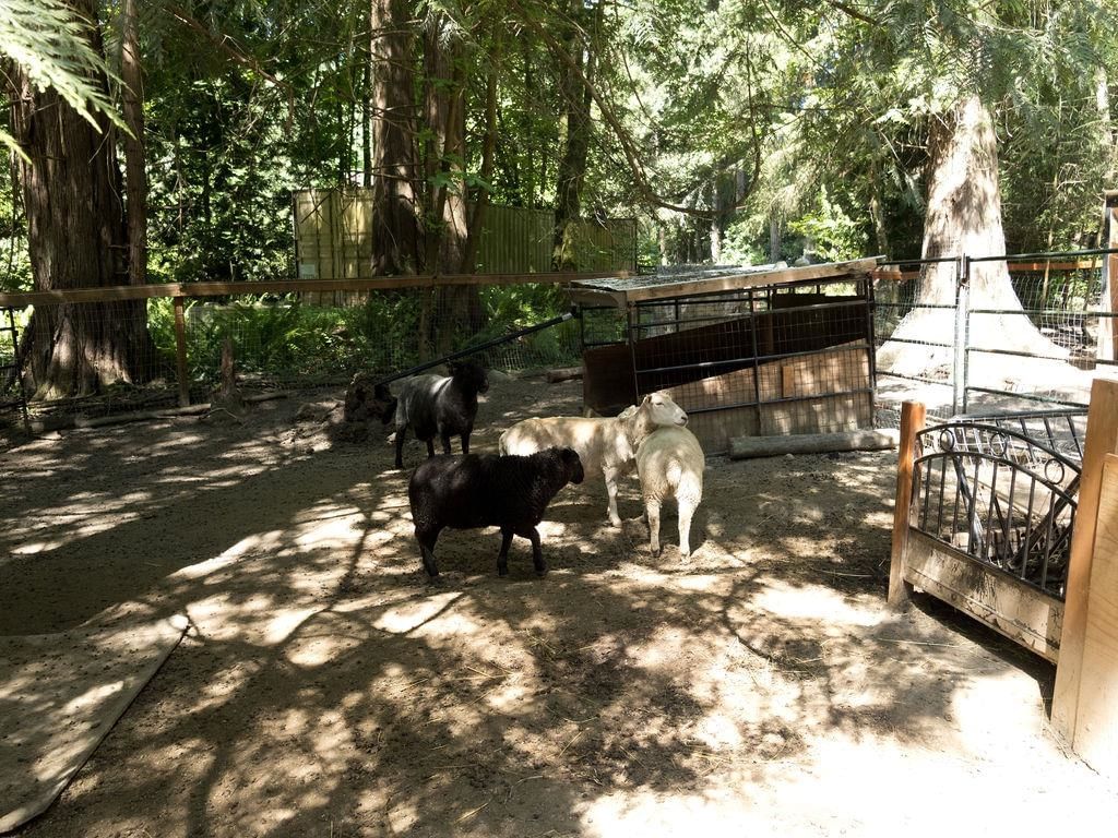 Listing Image 32