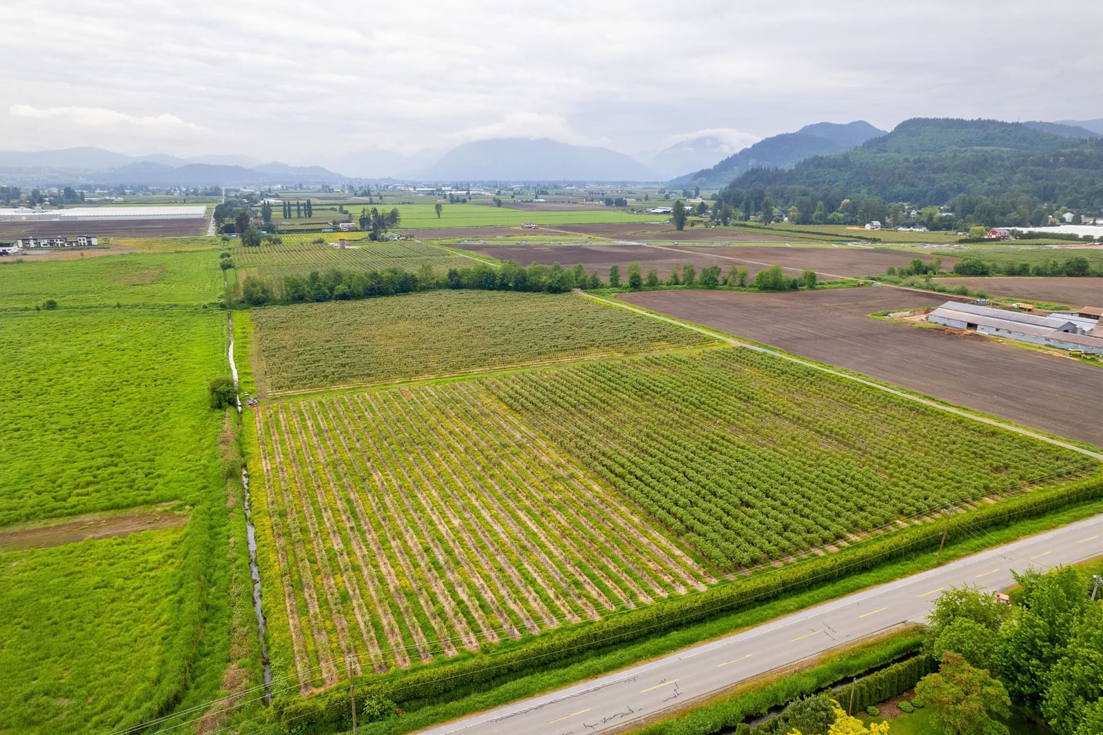 Listing Image 10