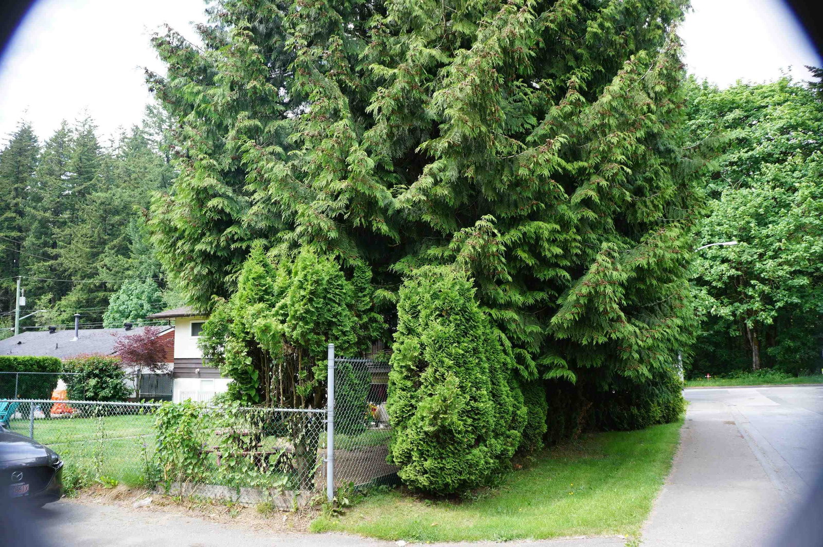 Listing Image 20