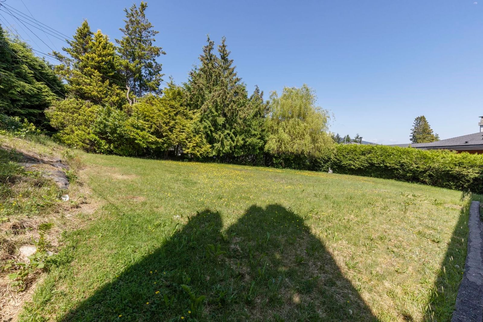 Listing Image 30