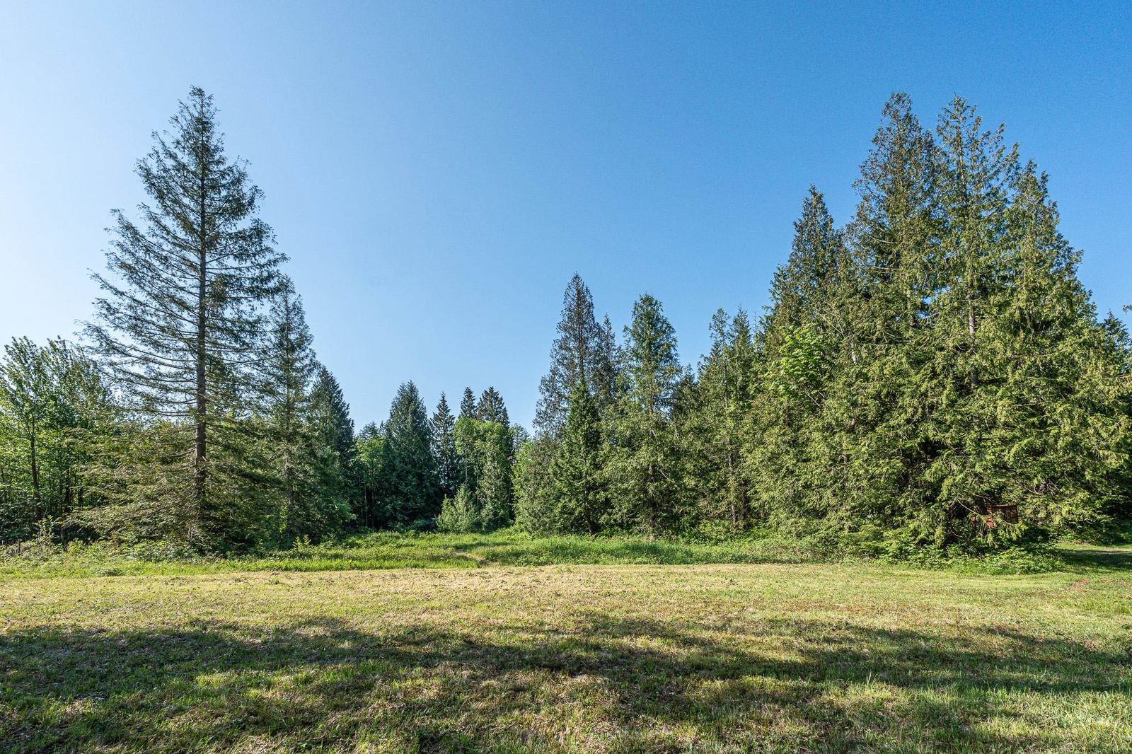 Listing Image 38
