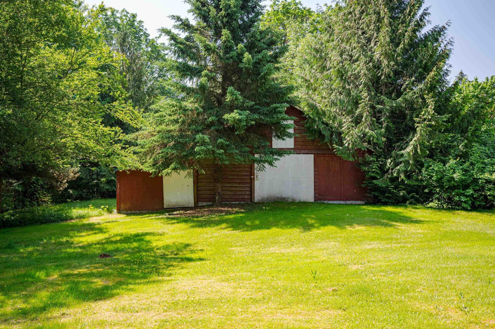 Listing Image 6