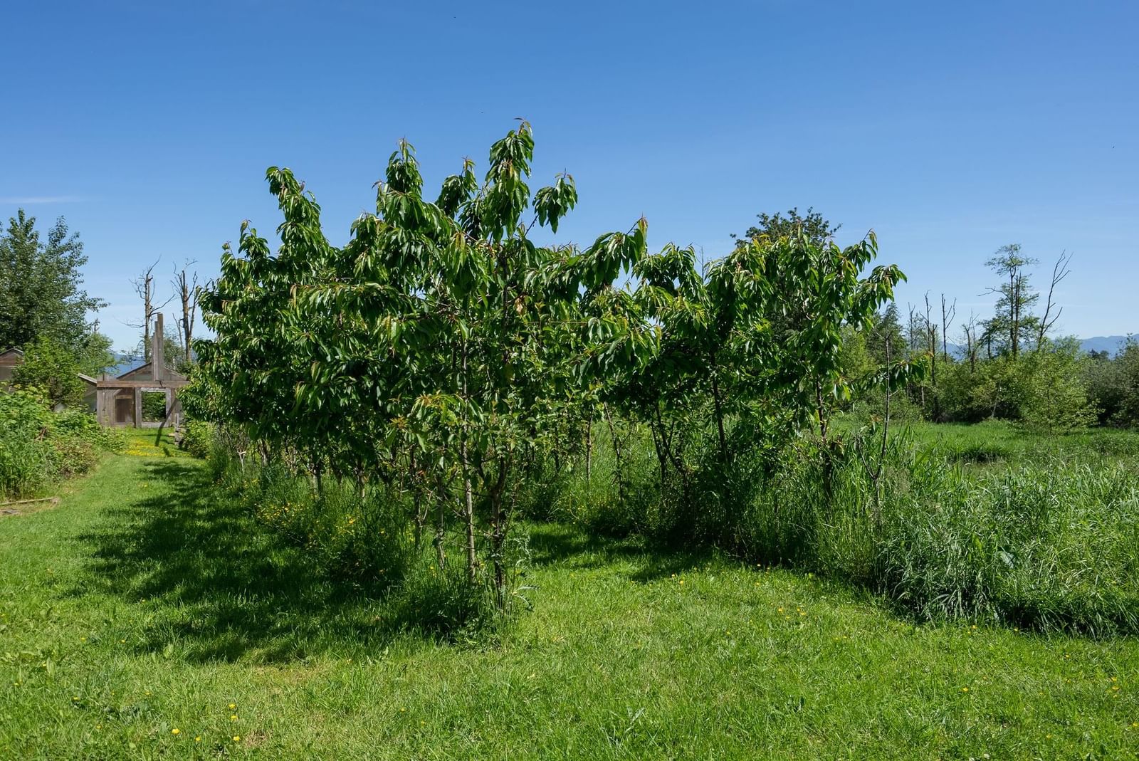 Listing Image 22