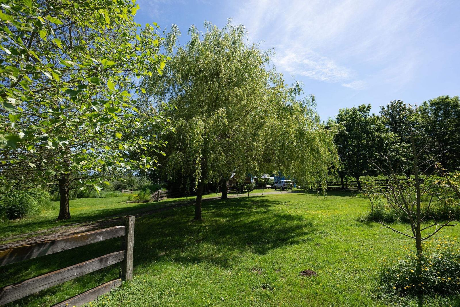 Listing Image 27