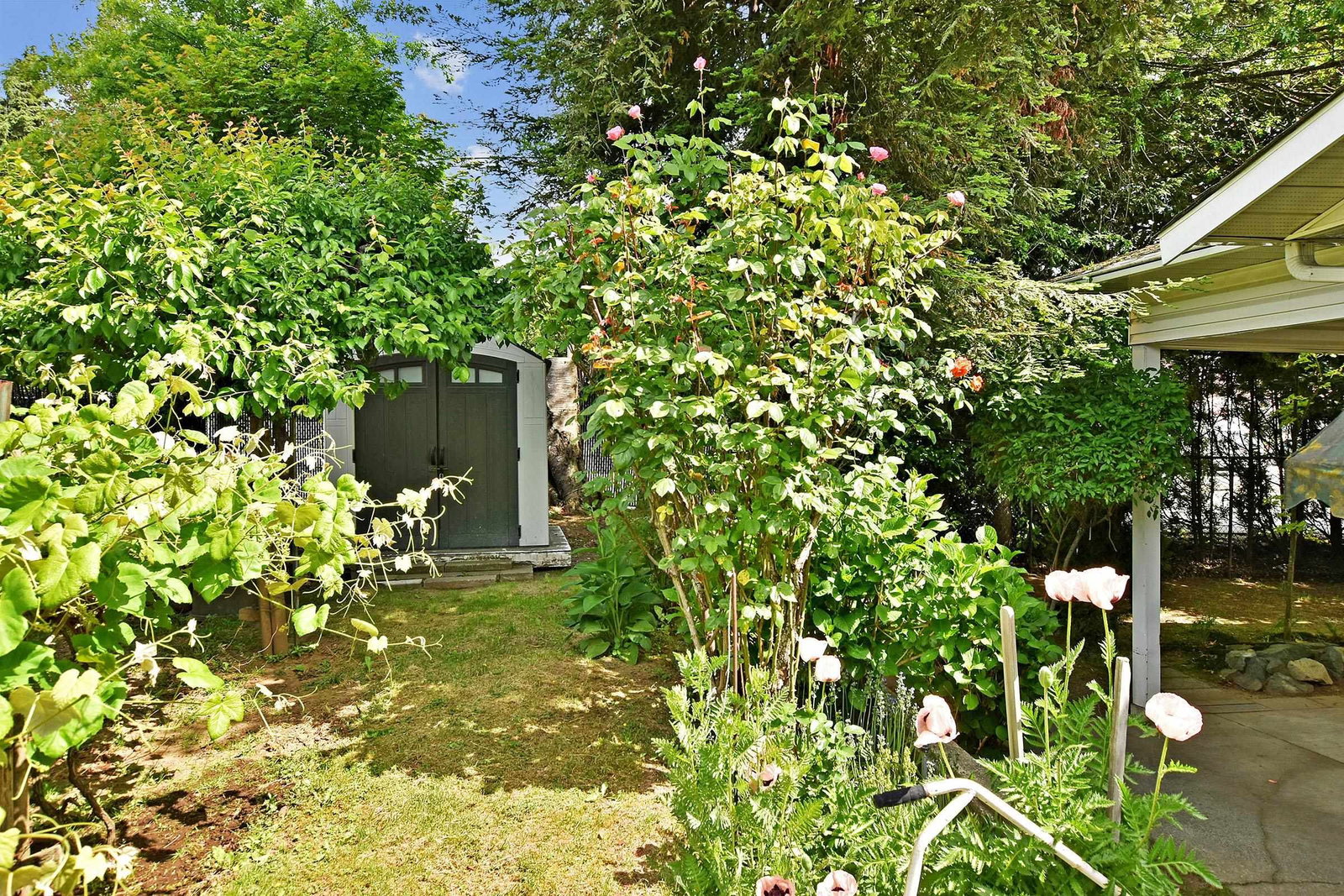 Listing Image 29