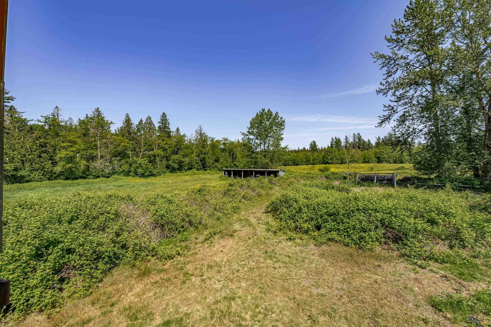 Listing Image 29