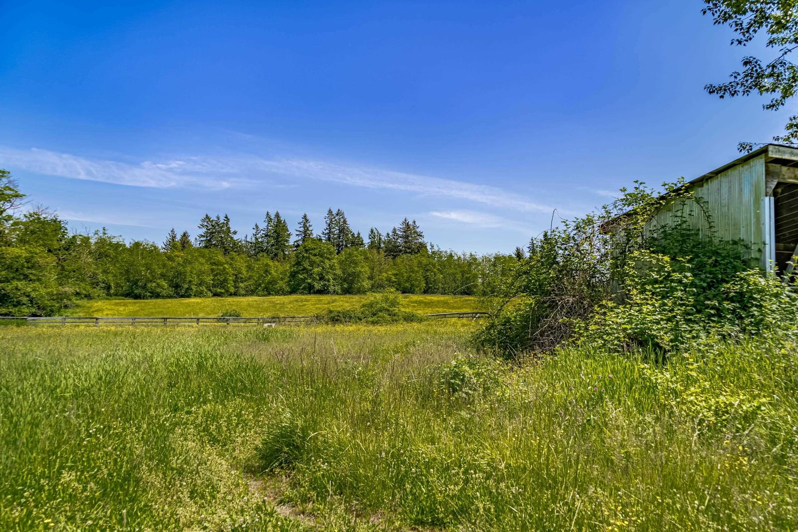 Listing Image 34