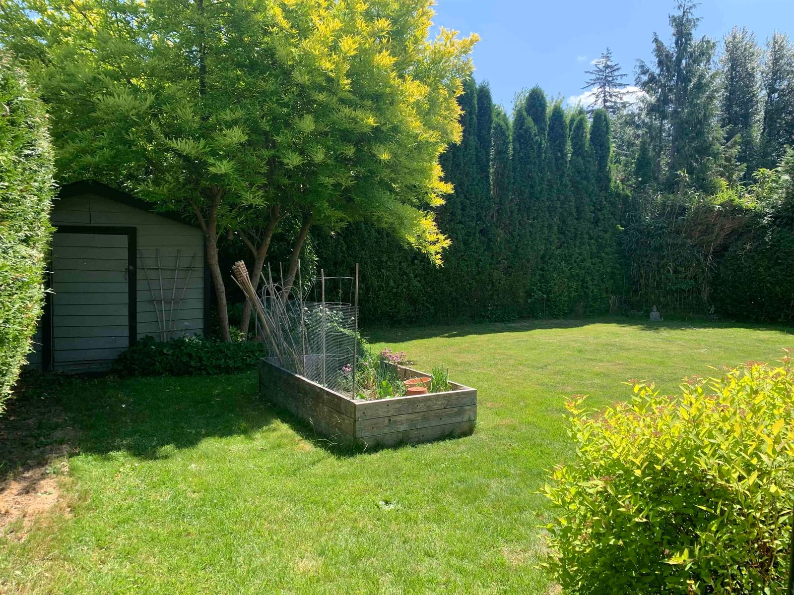 Listing Image 32