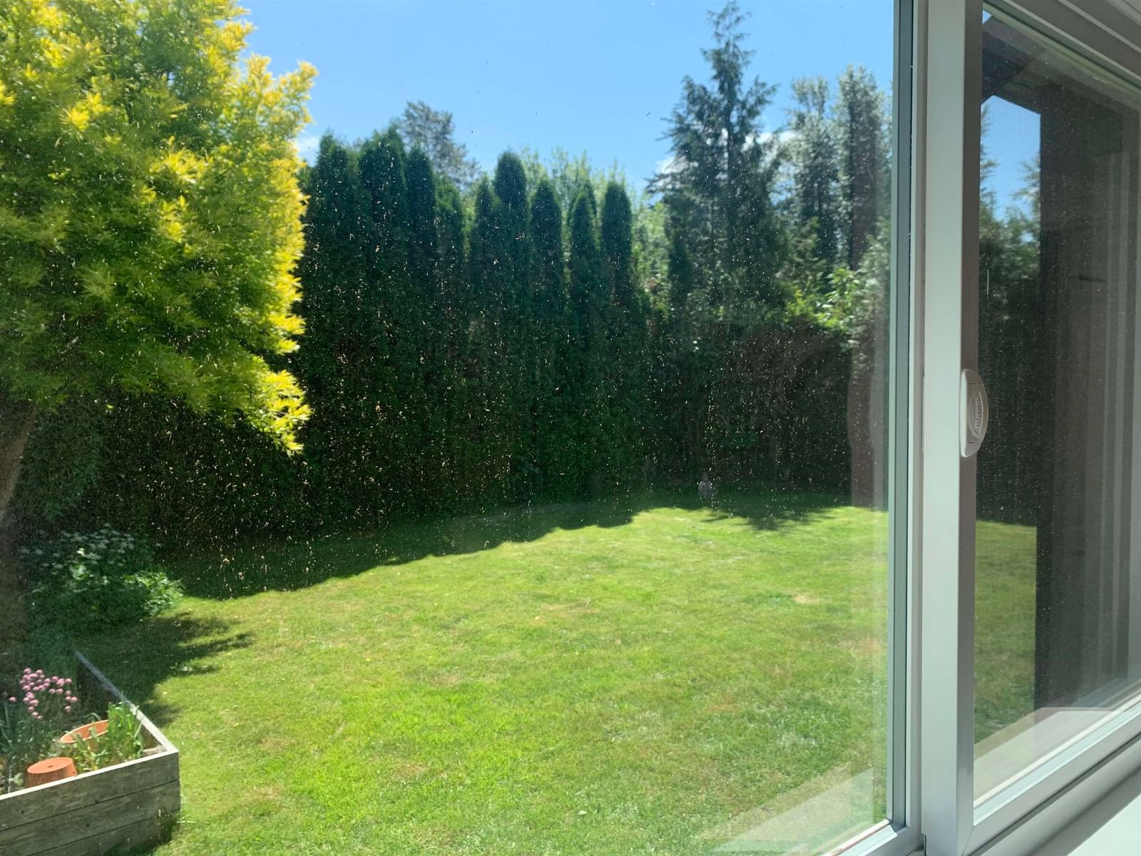 Listing Image 33