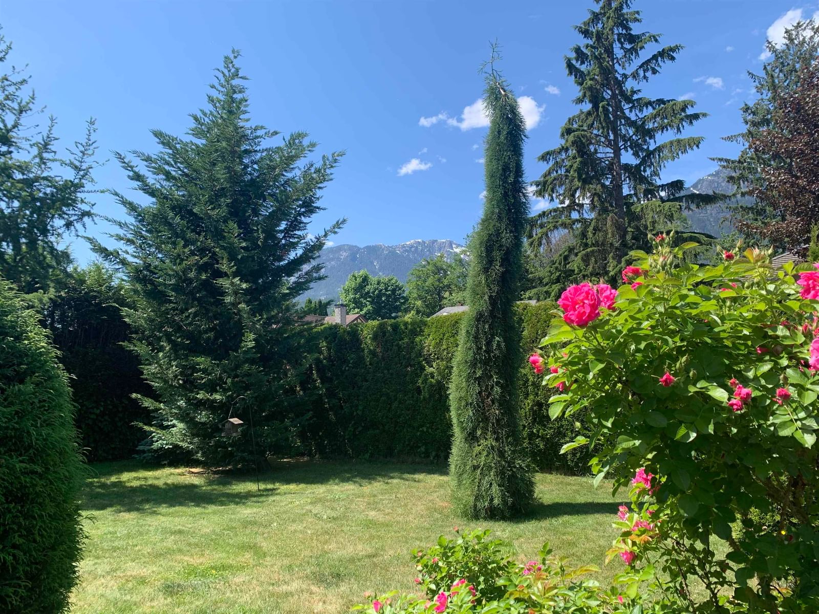 Listing Image 38