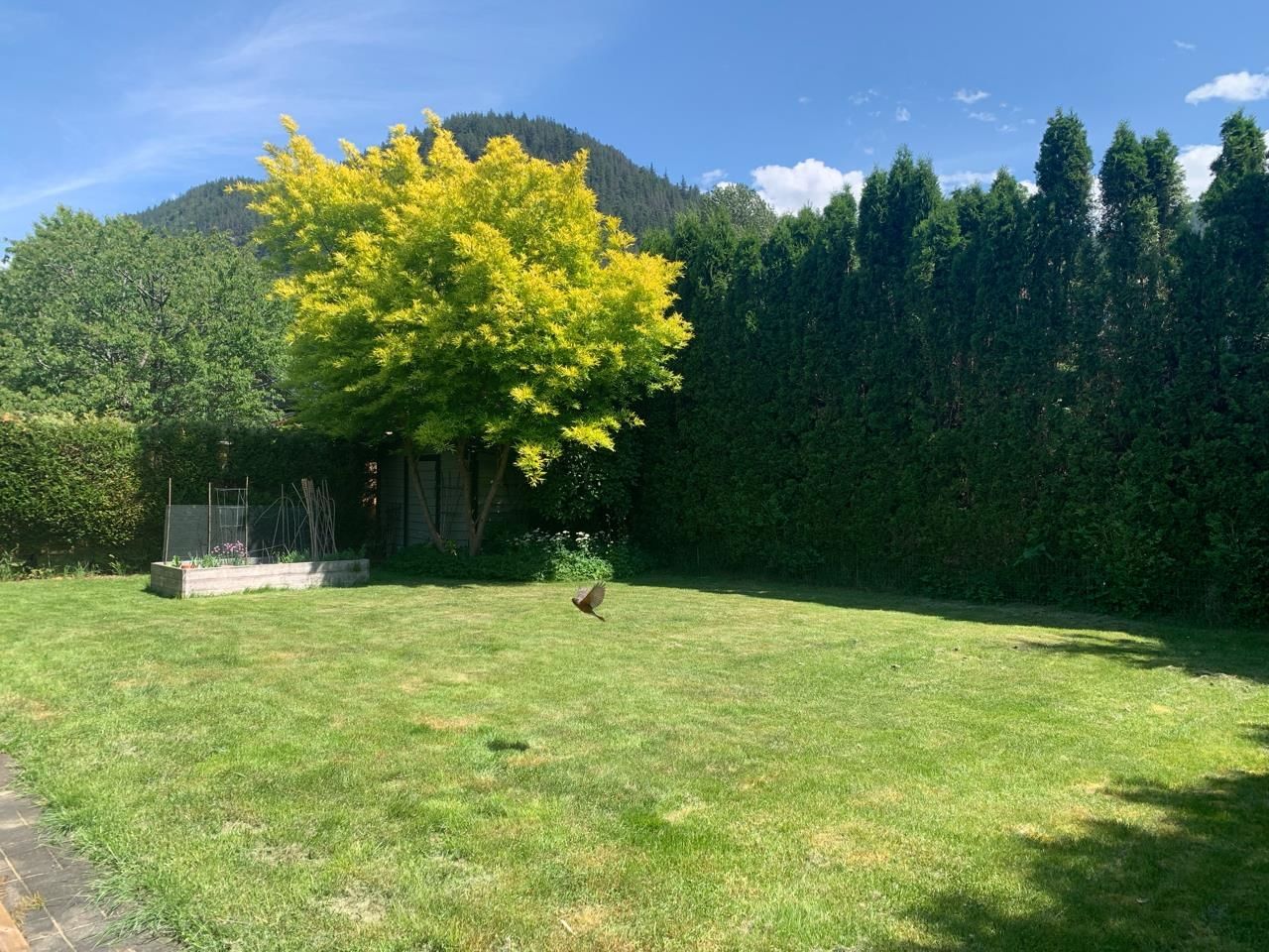Listing Image 40