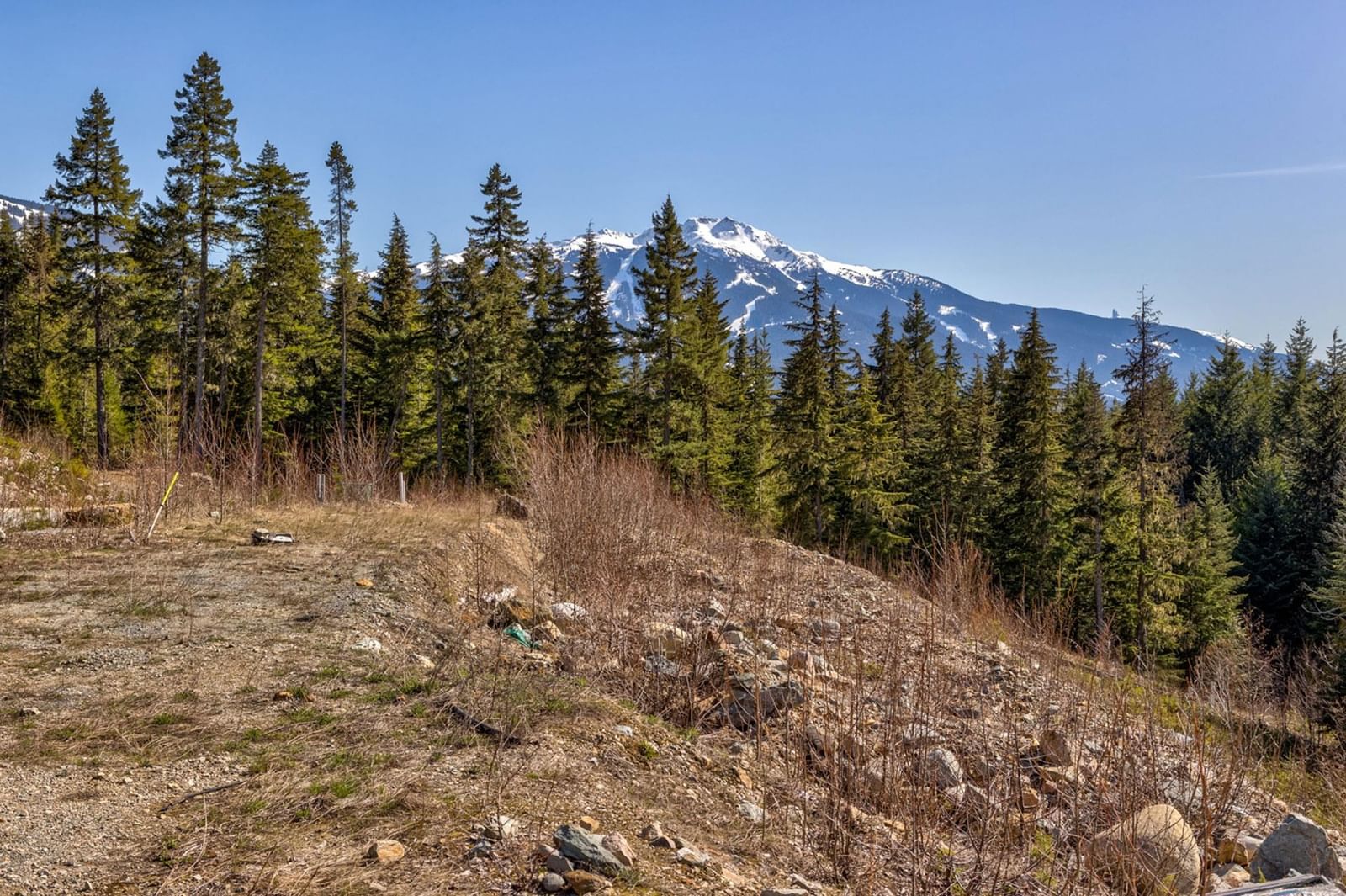 Listing Image 14