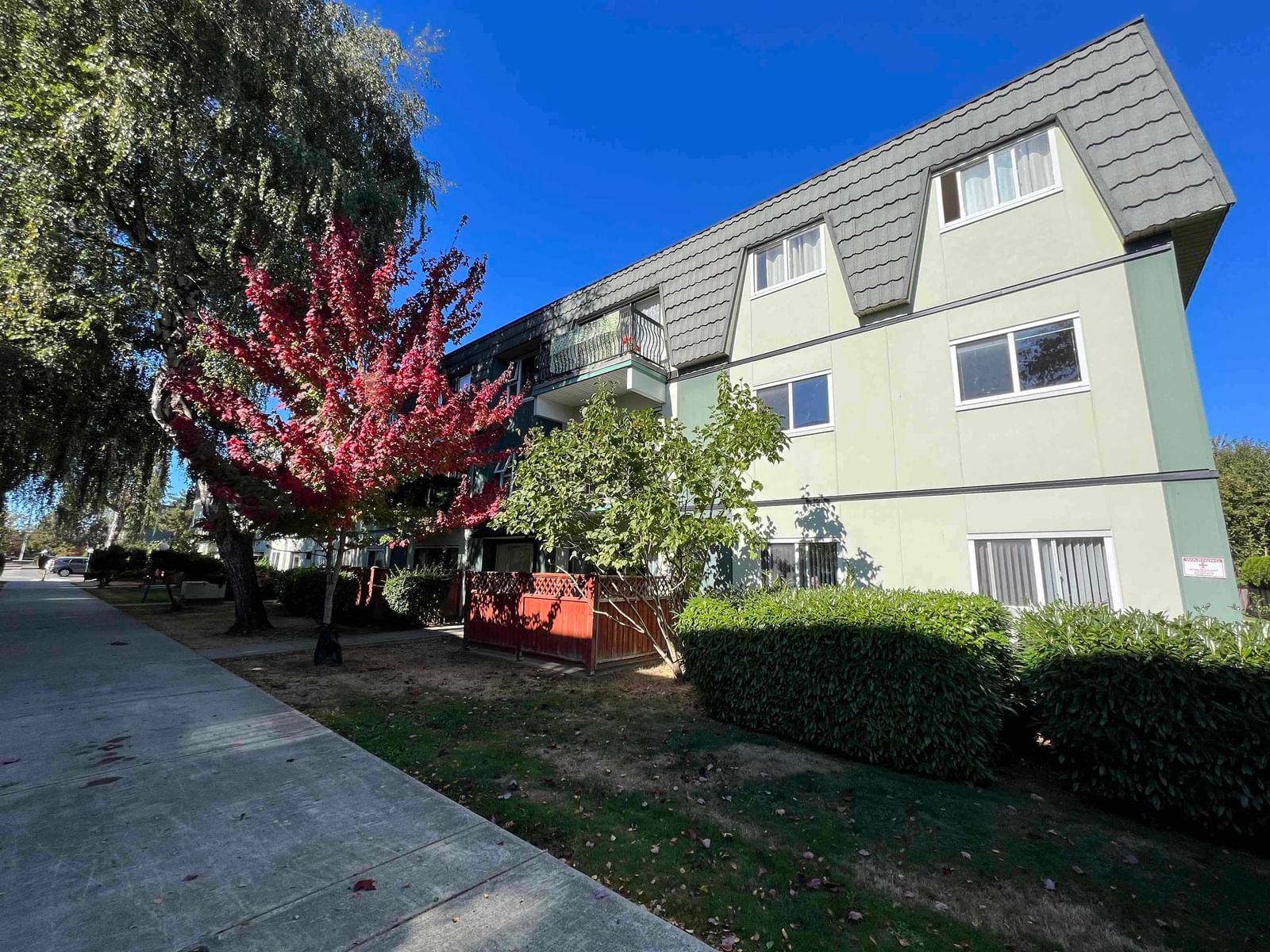 Listing Image 6