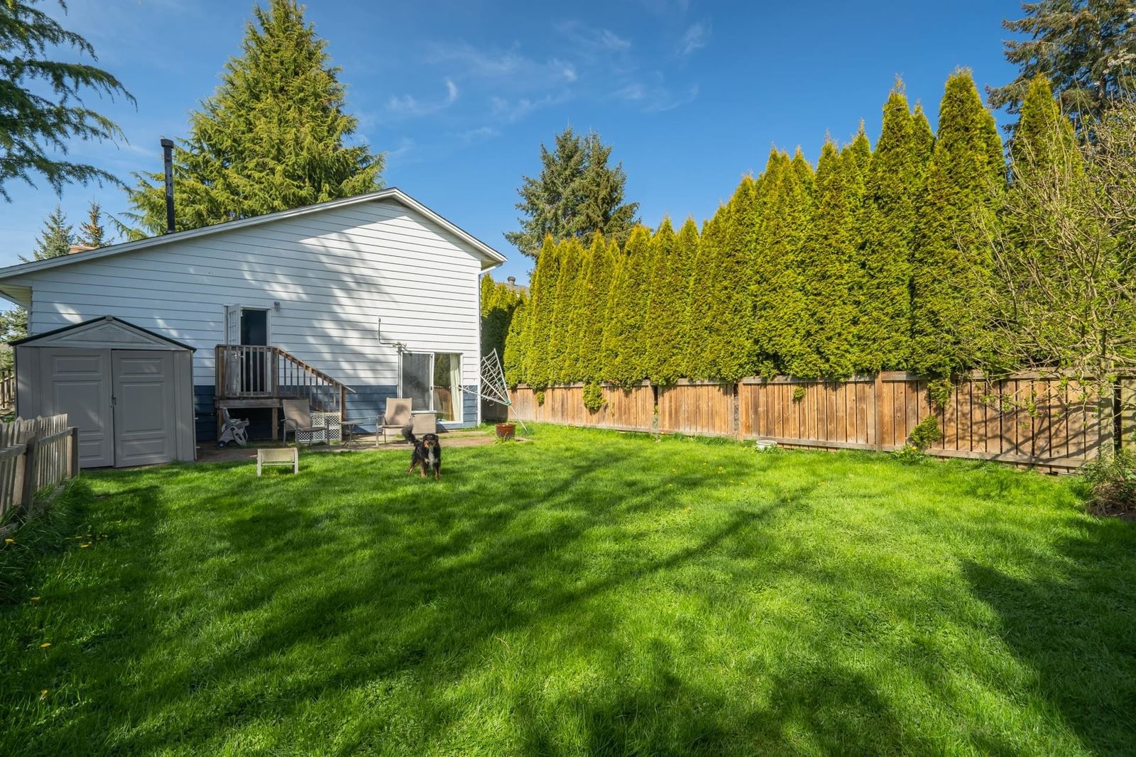 Listing Image 15