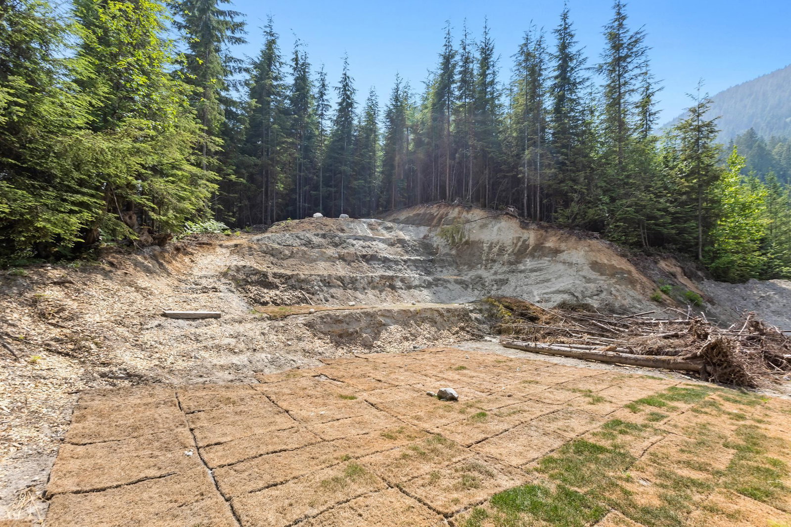 Listing Image 37