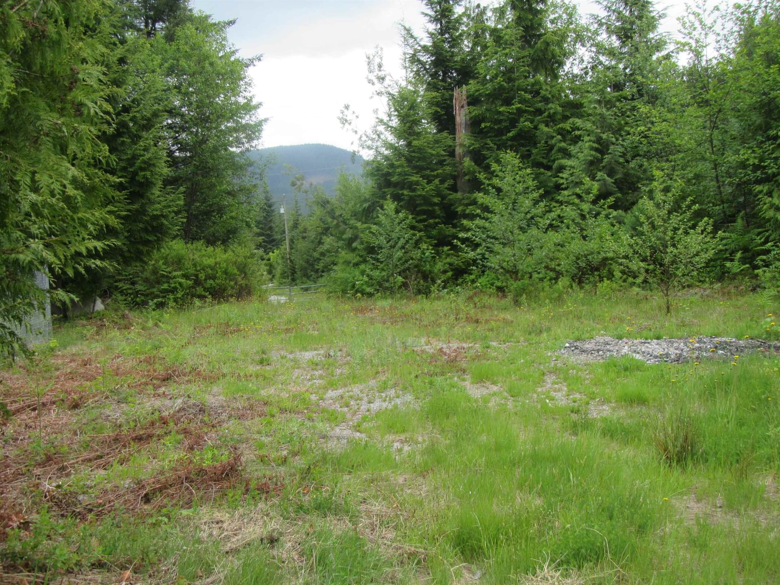 Listing Image 32