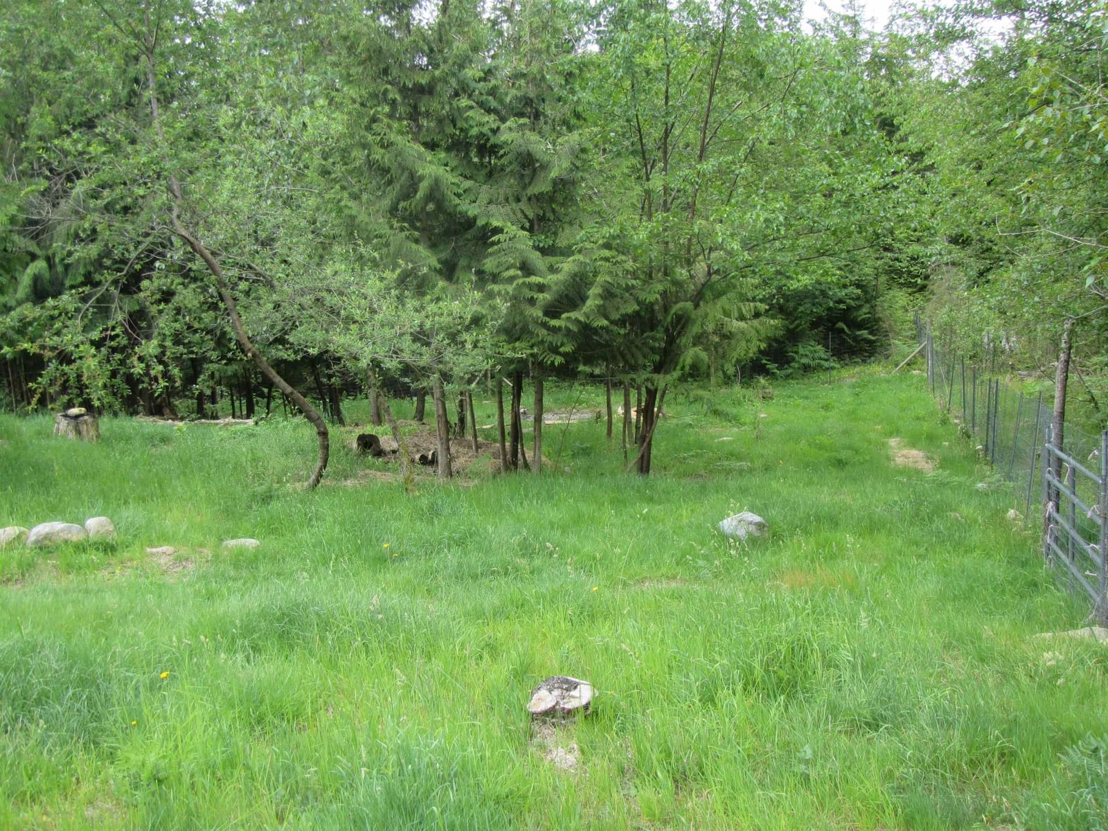 Listing Image 33