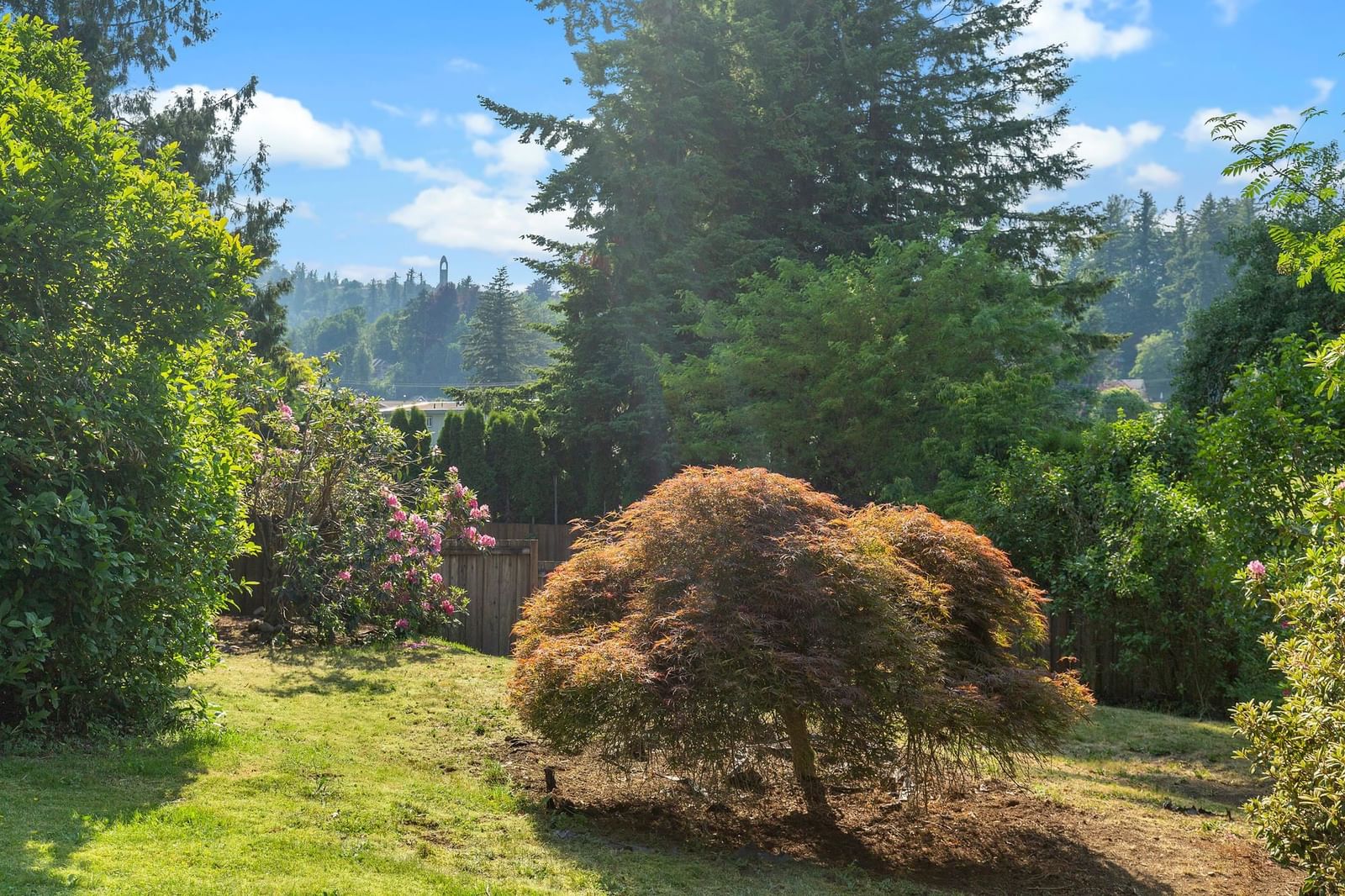 Listing Image 28