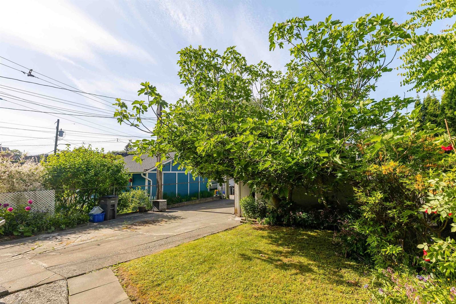 Listing Image 33