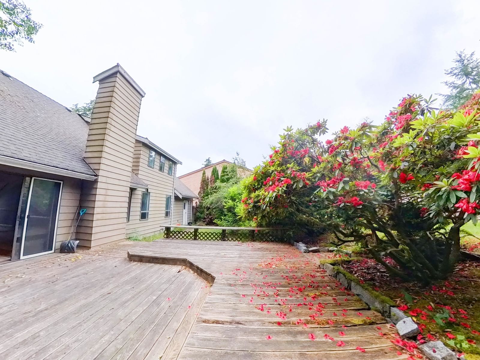 Listing Image 30