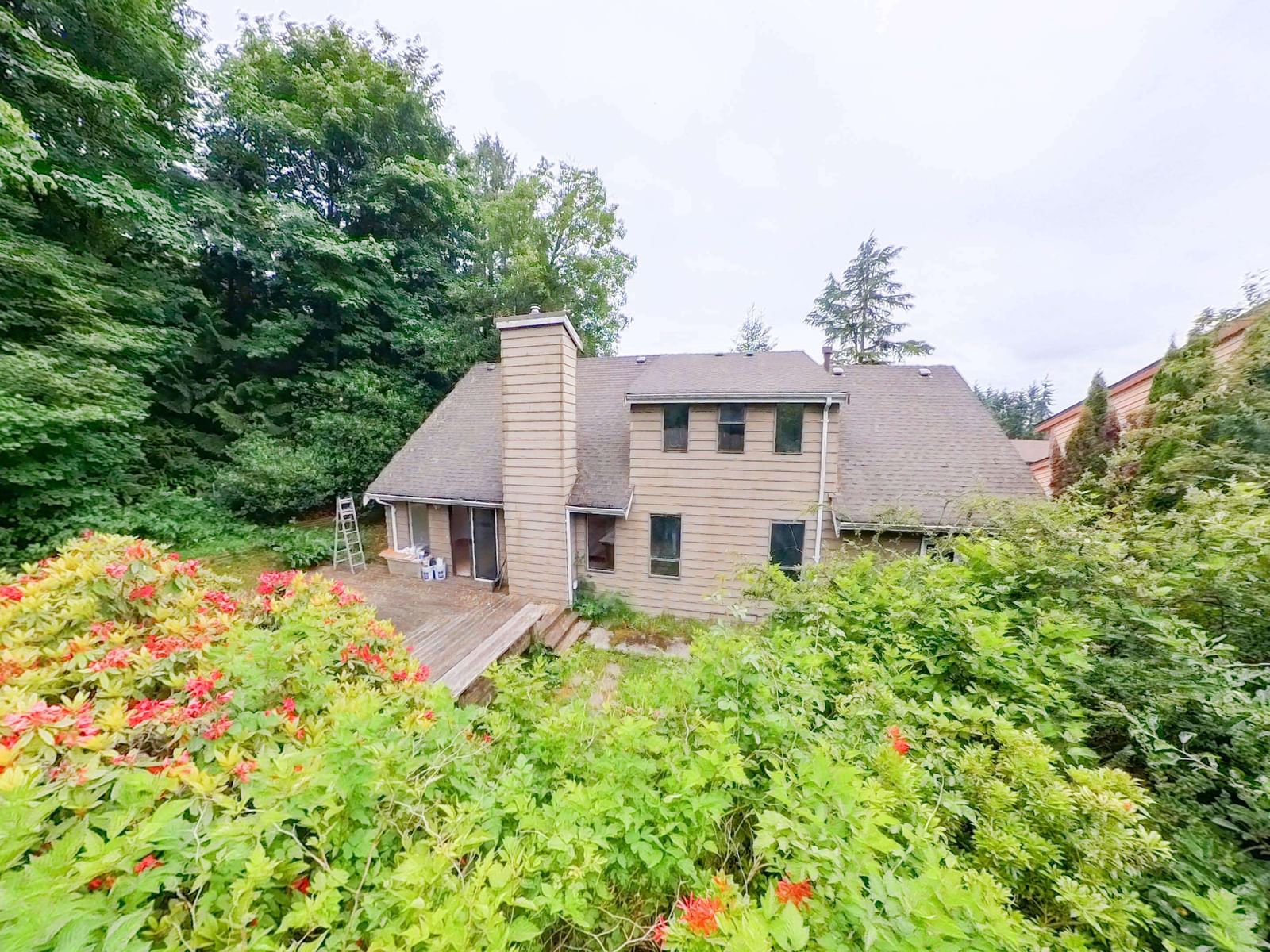 Listing Image 34