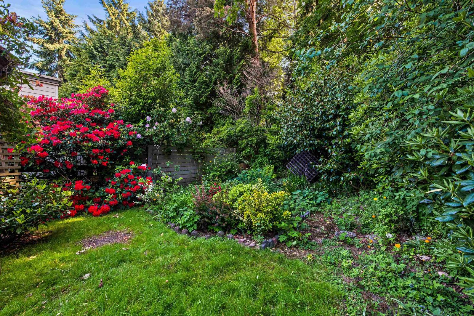 Listing Image 25