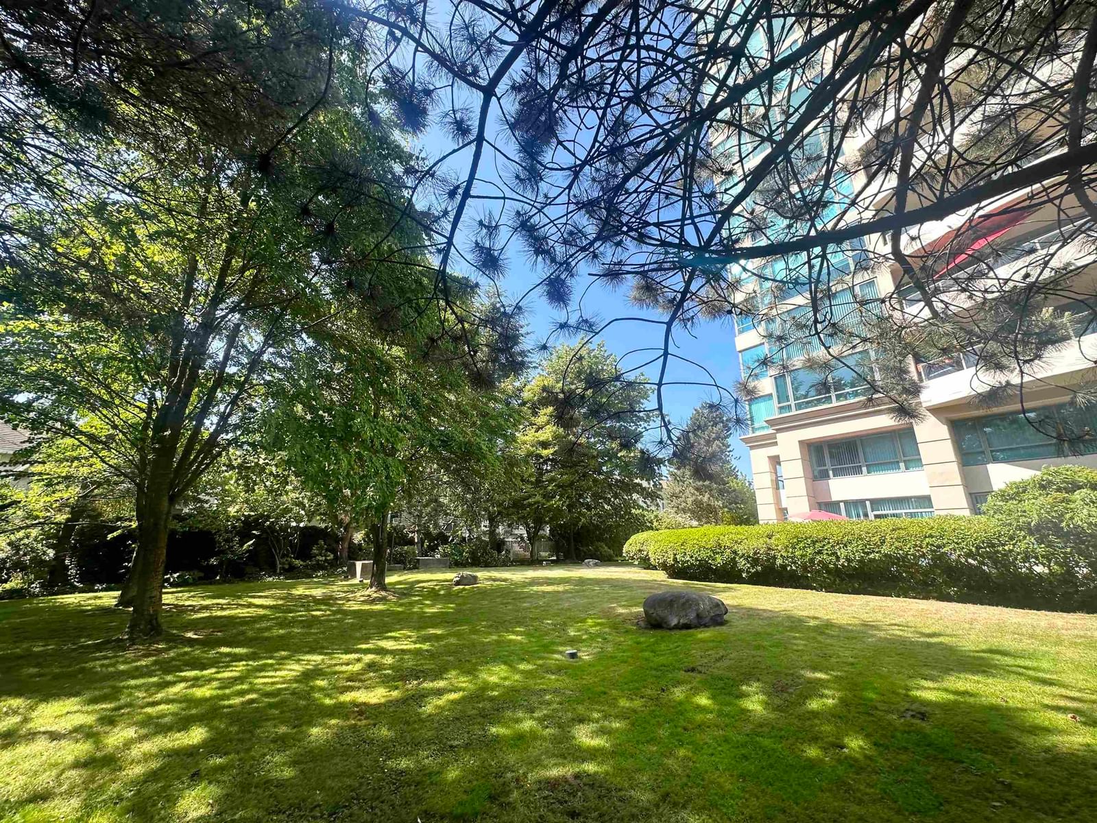 Listing Image 6