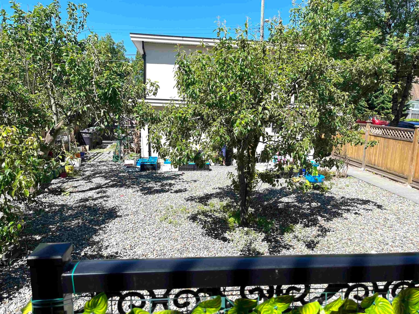 Listing Image 19