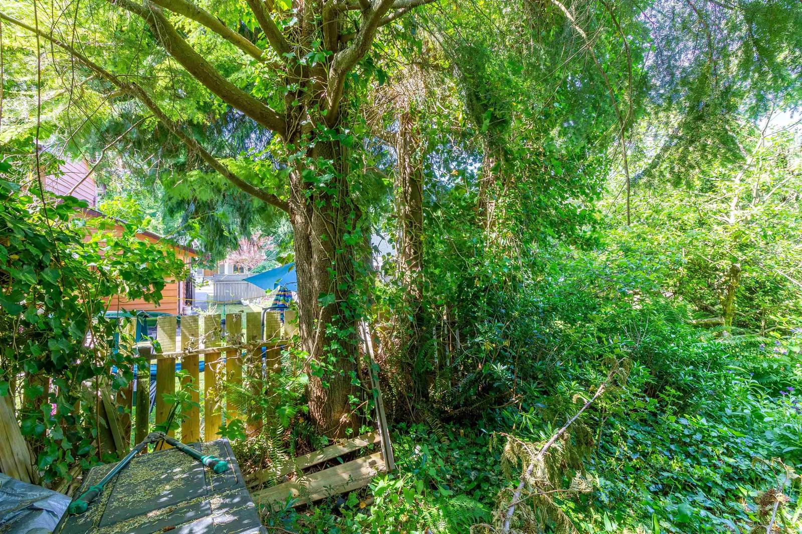 Listing Image 34