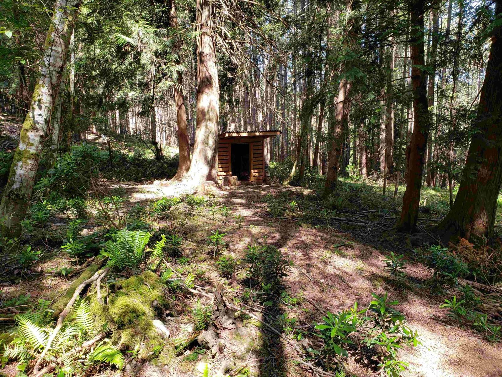 Listing Image 29