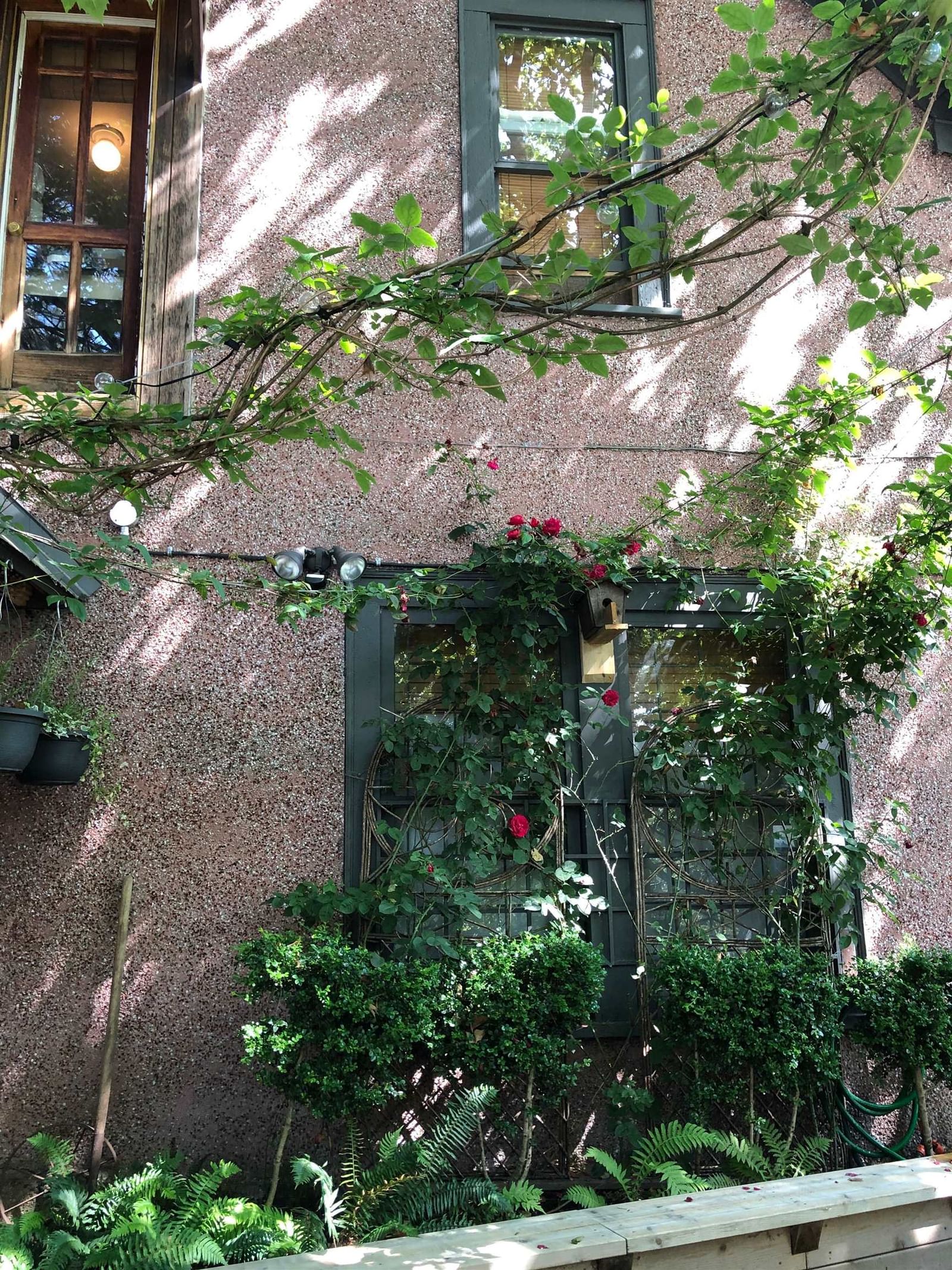 Listing Image 38